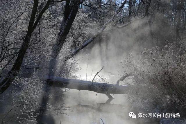 逃离黑砖房间